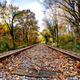 Illustration for article titled 100 Gorgeous Photos Of Fall Leaves